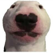 DerEchtePeter avatar