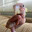 Pigeon Man
