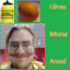 Liimamunanssi