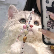 跳起来打你膝盖