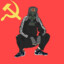 RI42RSAN