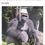 4Harambe