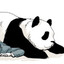 懒人动漫熊猫