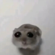 Sad Hamster