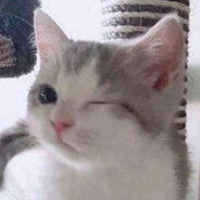 depre??ed | 白鯨並不弱