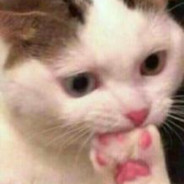 Luk