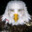 Marvin Beak