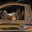 BOMBOCLATRİCHMİLLİONAİRE