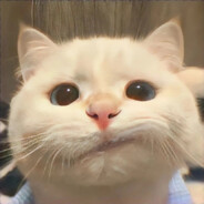 没有开枪的义务