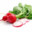 Robbie Radish