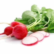 Robbie Radish