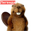 Бобер легенда