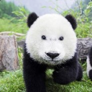 桐谷华是天