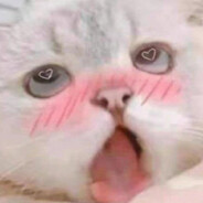 重生之在gogo当老六