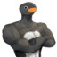 An abnormally large penguin