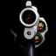 GUN