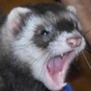 bipferret