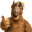 ALF