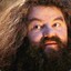 Rubeus Hagrid