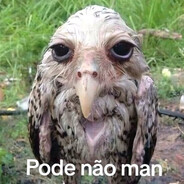 DAVIDBR's avatar
