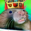 The King of Rats