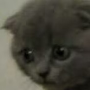 RIP's avatar