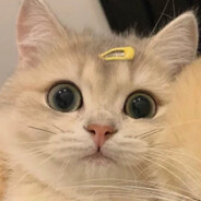 伊人浅笑醉长安