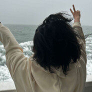 落叶的一生只是为了归