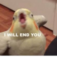 COCKATUAI