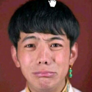 烧萌电棍理塘丁真