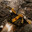 ex1tinG-
