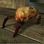 HallowHeadcrab