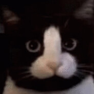 Alpha_77 - steam id 76561198153257185