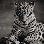 JaguaRPaw - steam id 76561197972490086