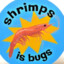 Shrimps is Bugs