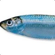 Балтийская Килька!!!