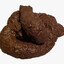 poop