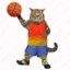 Hoops Cat