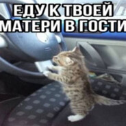 хуй рыжий