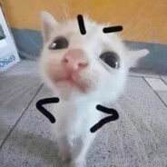 他妈的中国尤物