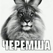РАДИ НЕВО avatar