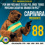 capivara