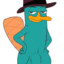 Perry The Platypus