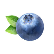 Blueberry