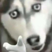 灰化肥发黑会花飞