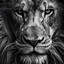 The Lion