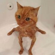 Йоу|TImon pokemon