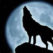 |Wolf|Zo|Slovenska^ - steam id 76561197961712414