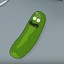 IM PICKLE RICK //