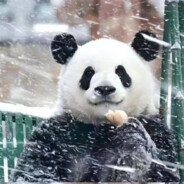 𝓐𝓭𝓷𝓪𝓹☇